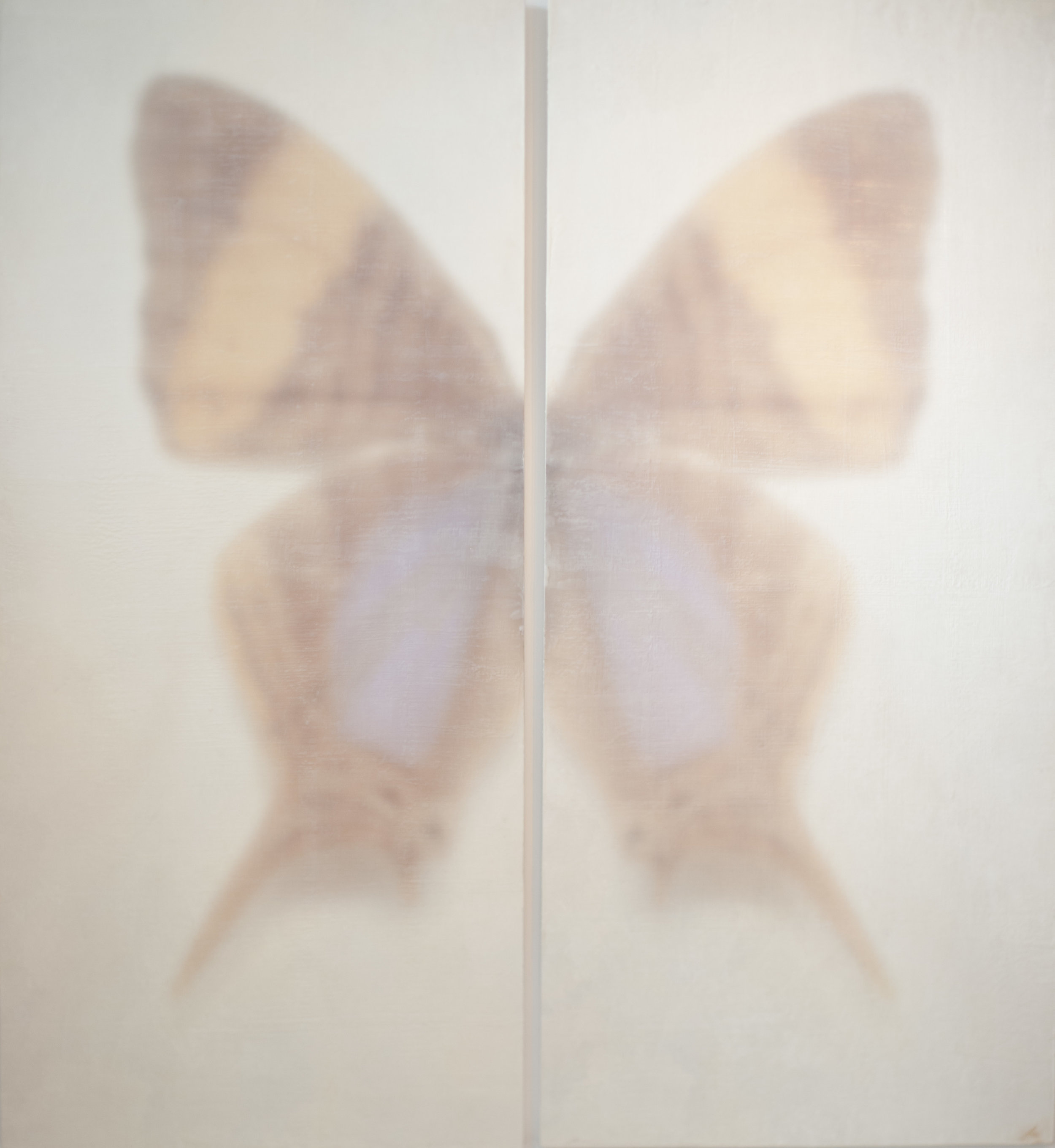 butterfly dyptich 35x80 inches each.jpg