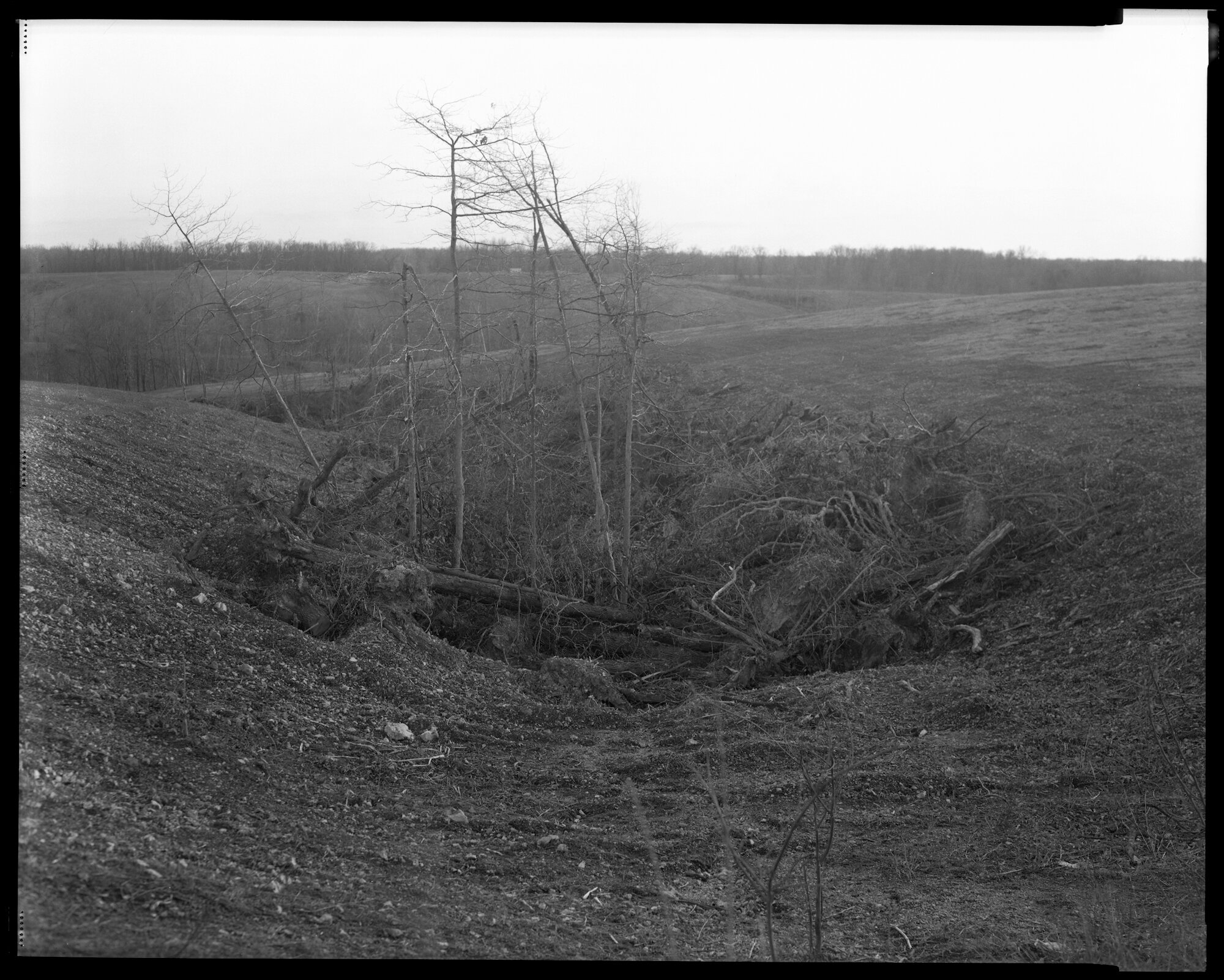 13 Elmaleh 910.01.19 Cleared Land.jpg