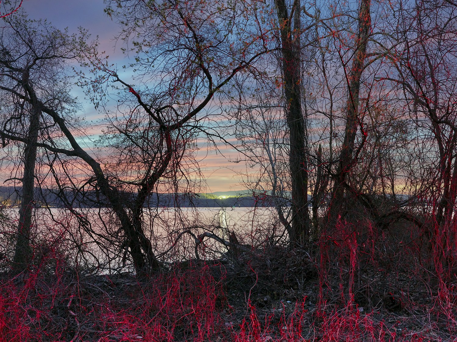 Slate Dock, Rhinecliff 2022.jpg