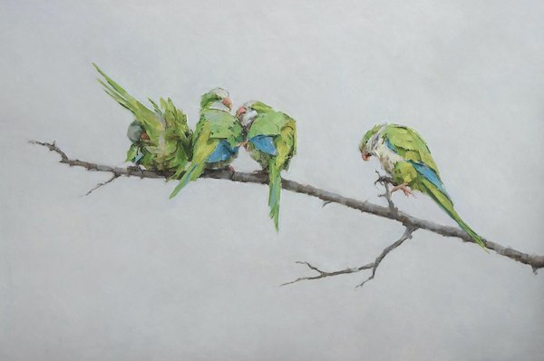 Chit Chat ~ Green Parakeets  20x30 copy.jpg