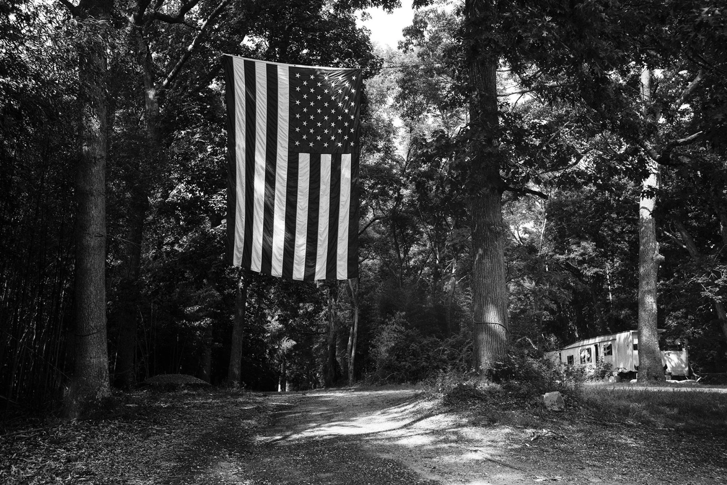 image 1617 copy.png