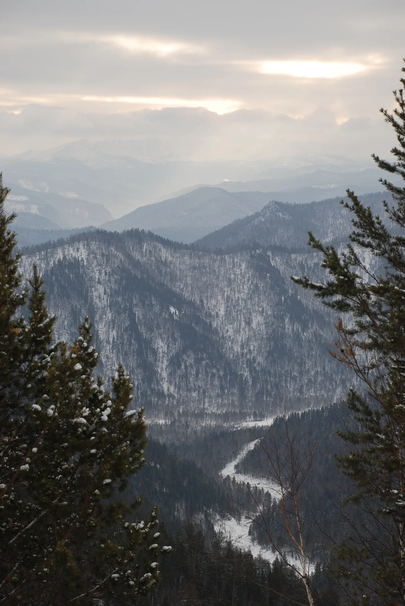 Altai, siberia (1).JPG