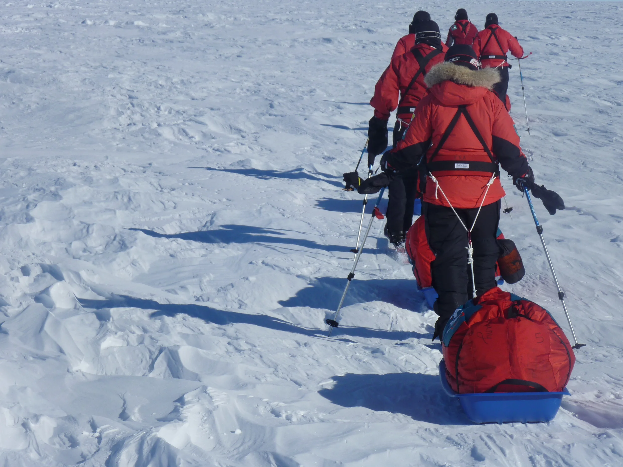 Commonwealth Women's Antarctic Expedition.JPG