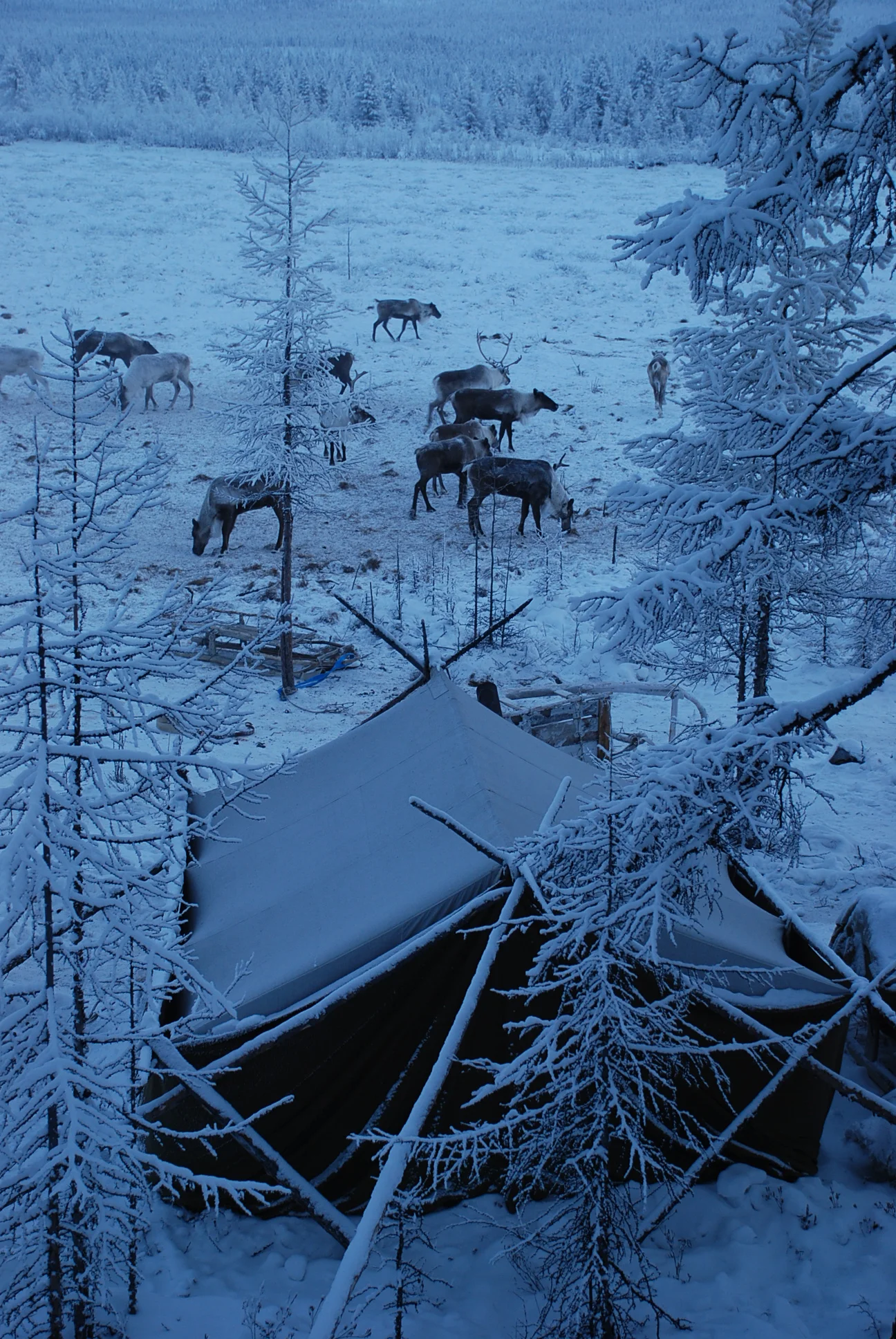 Eveni camp, Siberia.JPG