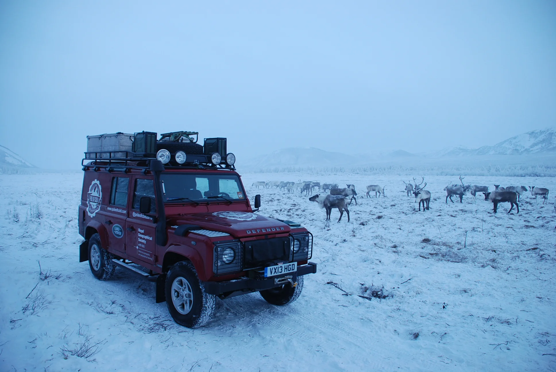 Eveni reindeer herd, sakha, Siberia.JPG