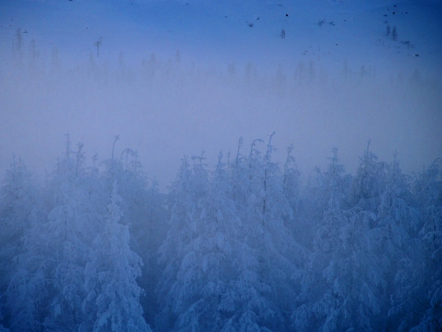Sakha Republic, Siberia.jpg