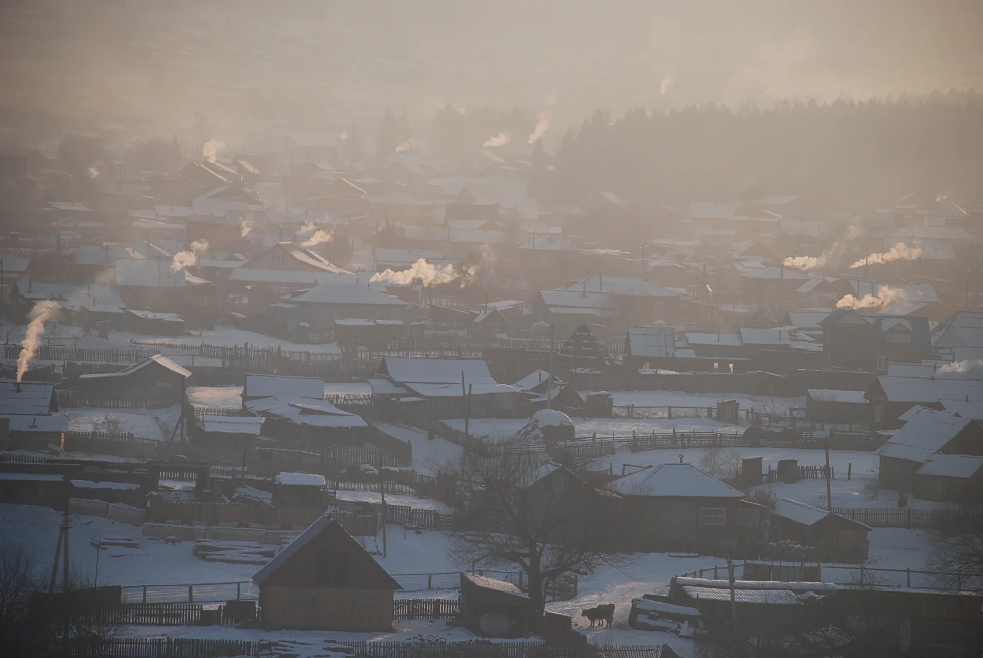 Siberian village, Altai.JPG