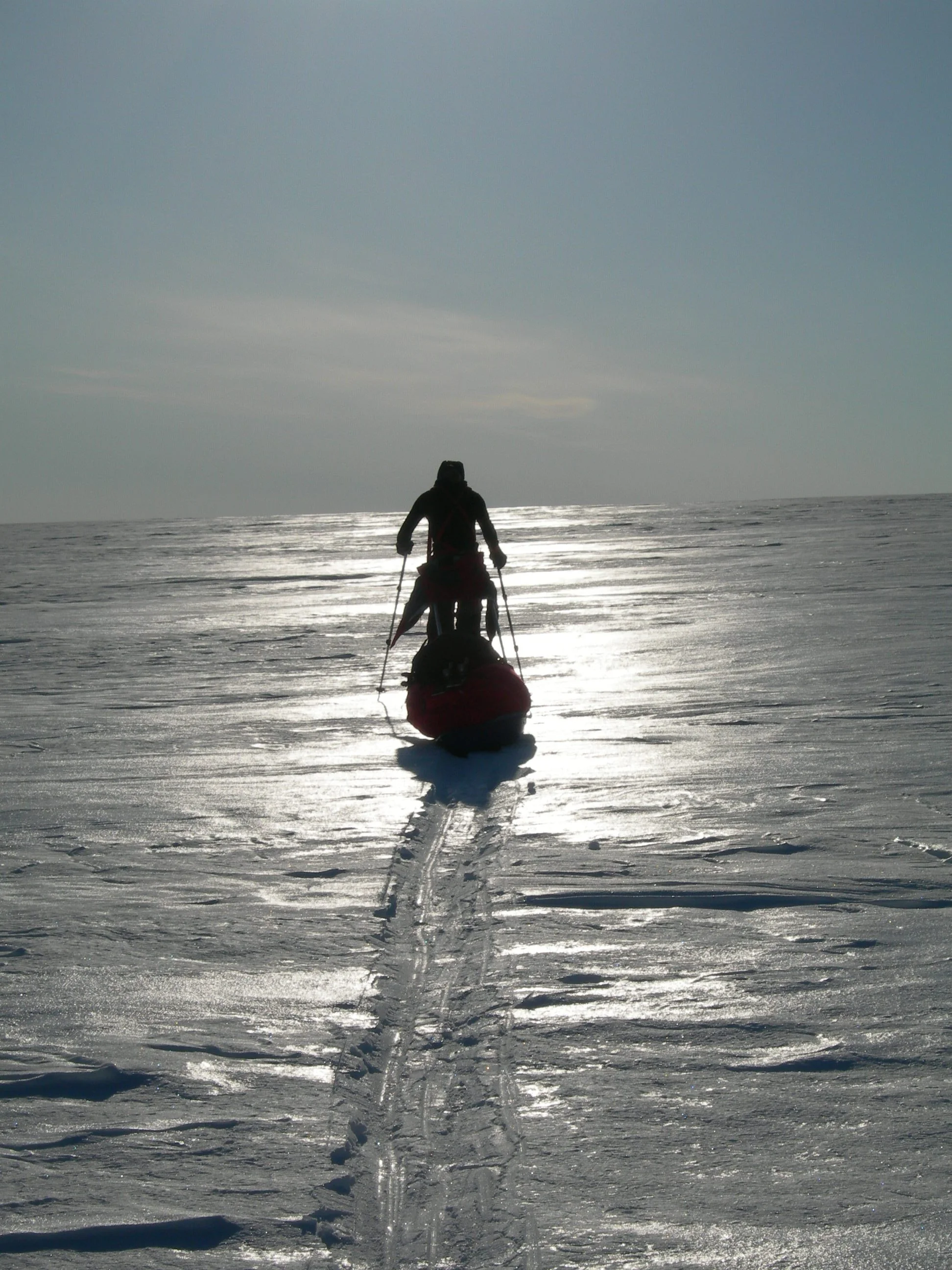 Skiier, Greenland ice sheet.JPG