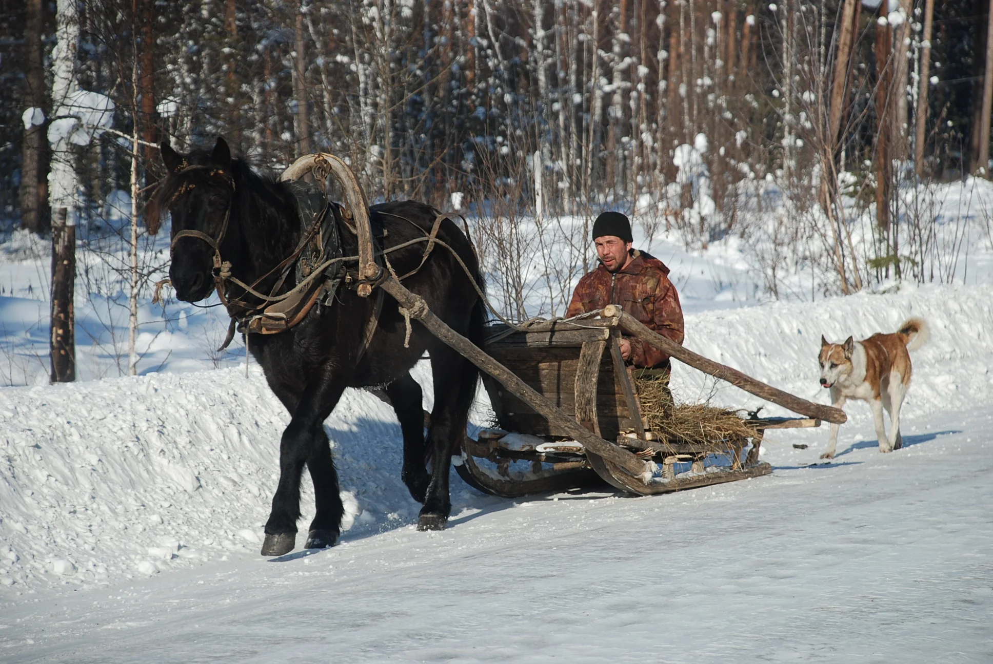 Tarantass, Siberia.JPG