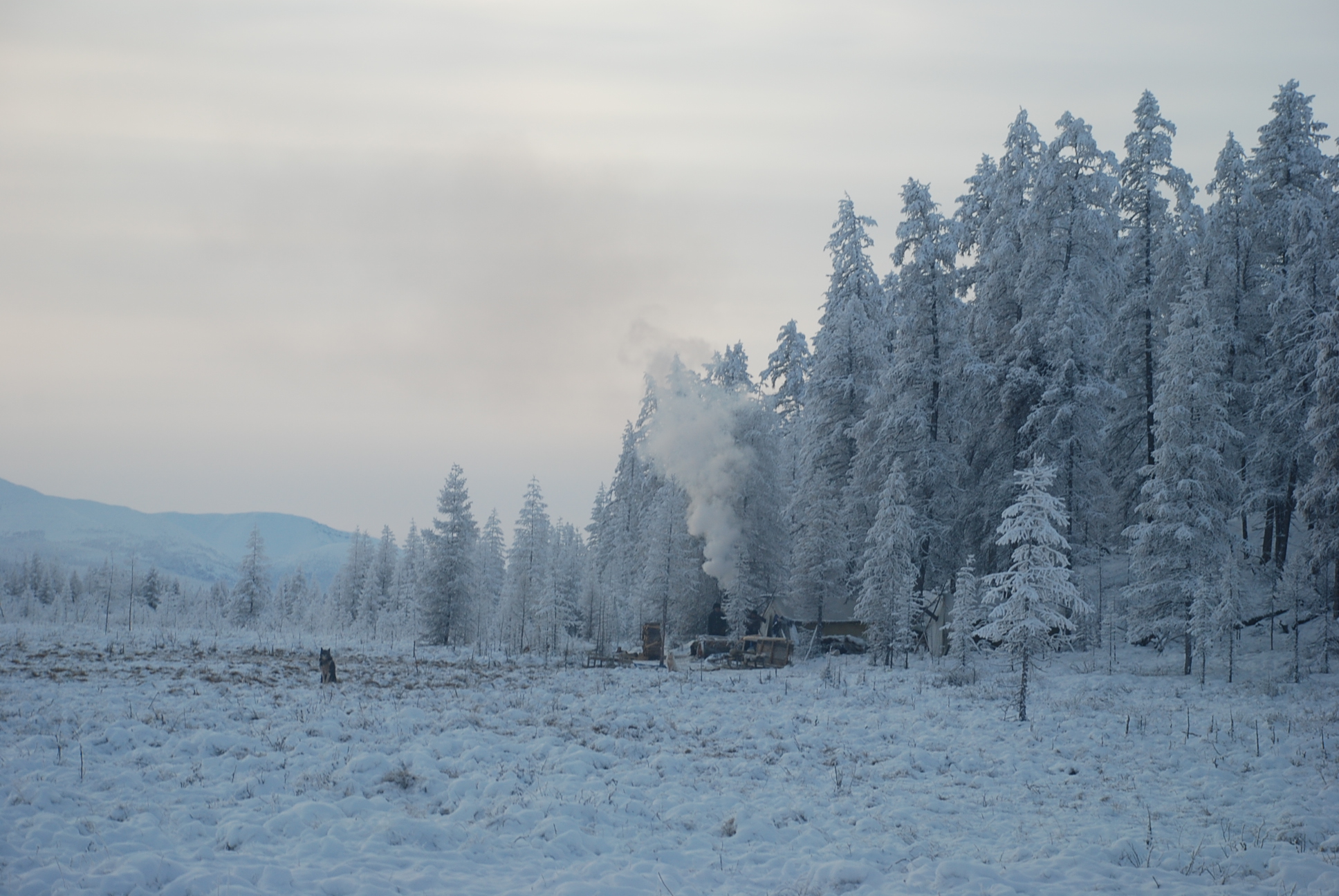 Eveni Camp, Yakutia, Siberia