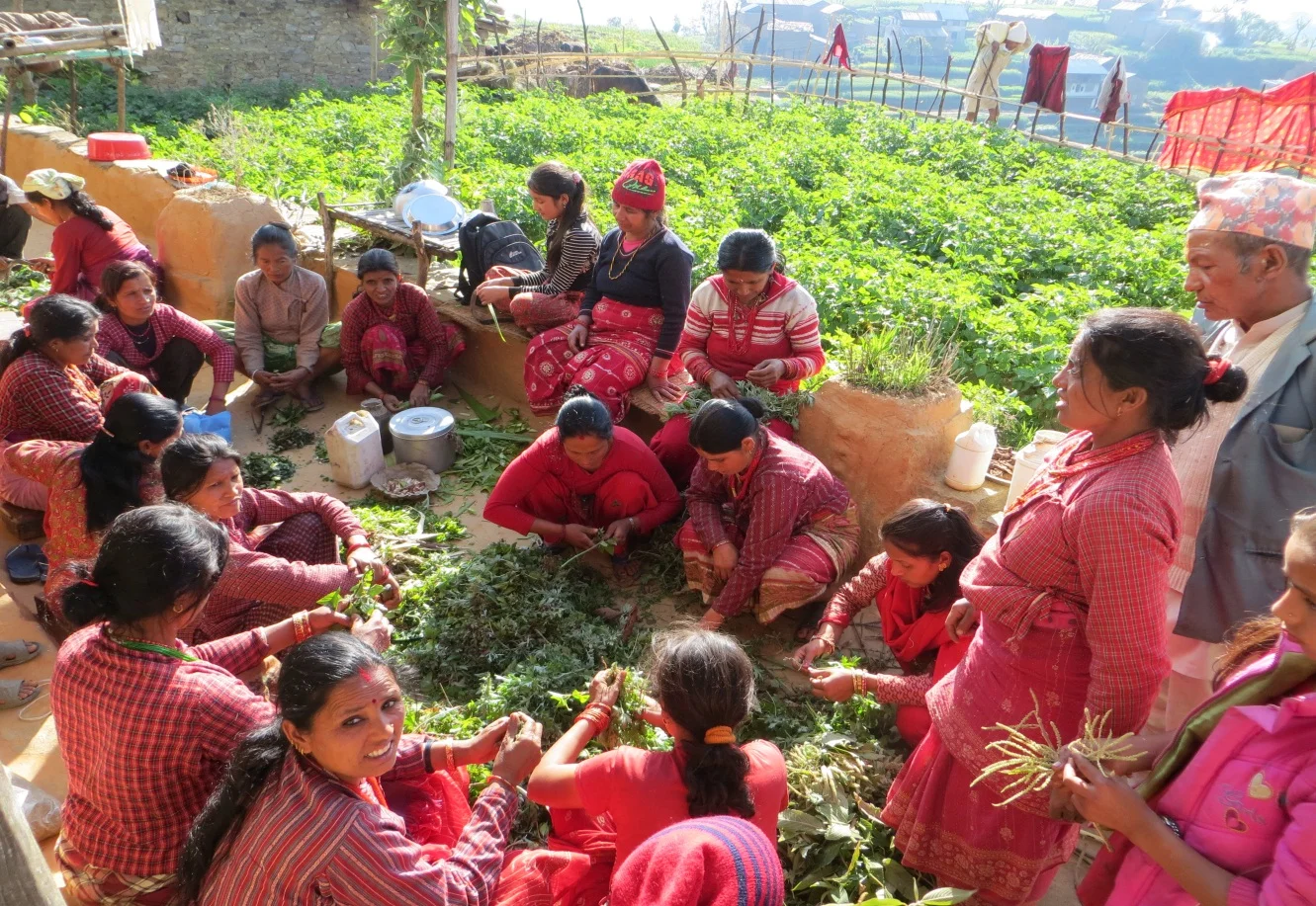 Farmers preparing bio-pesticides in Panchakanya, Sindhupalchowk