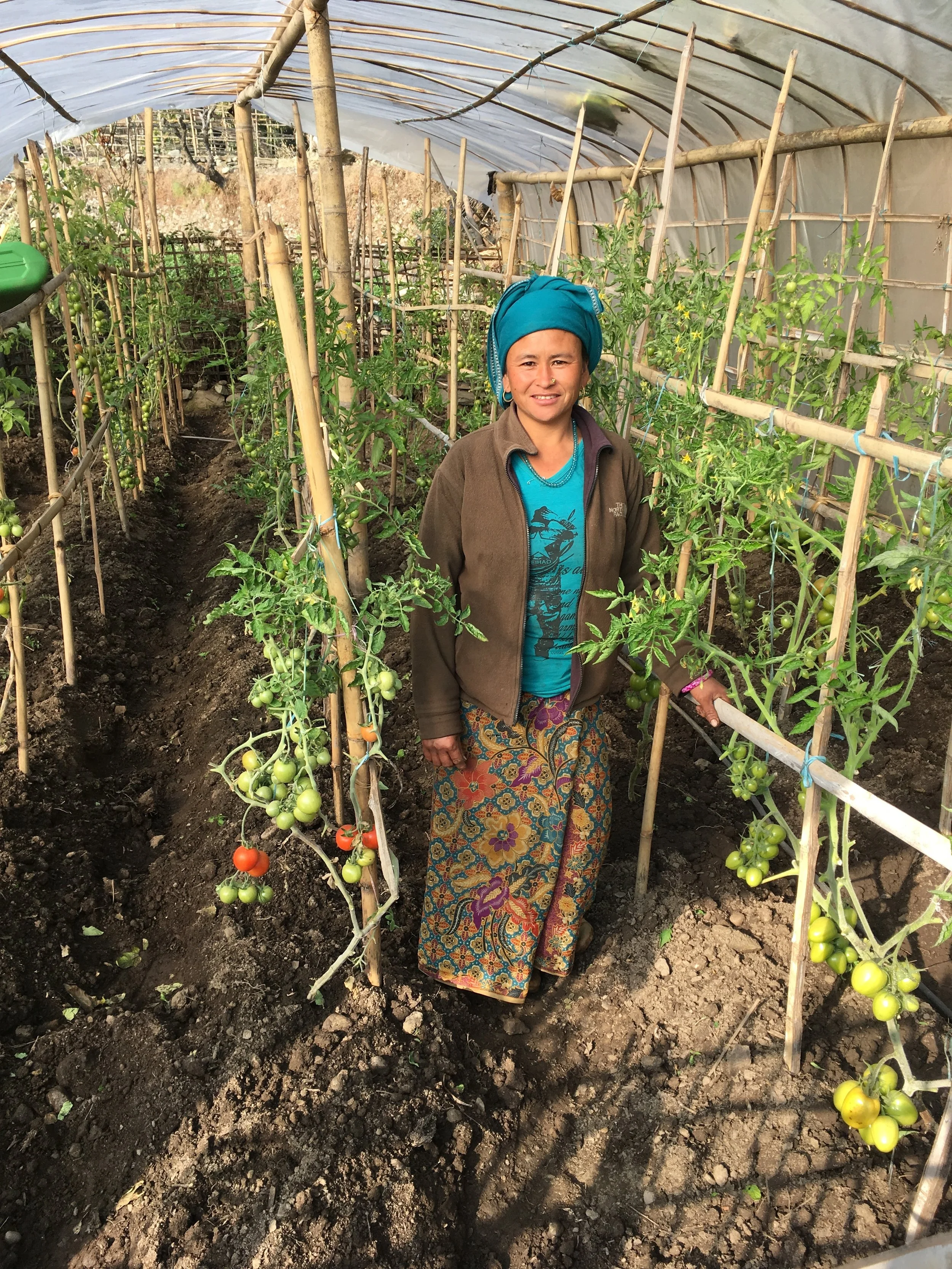 Mainstreaming adaptation?