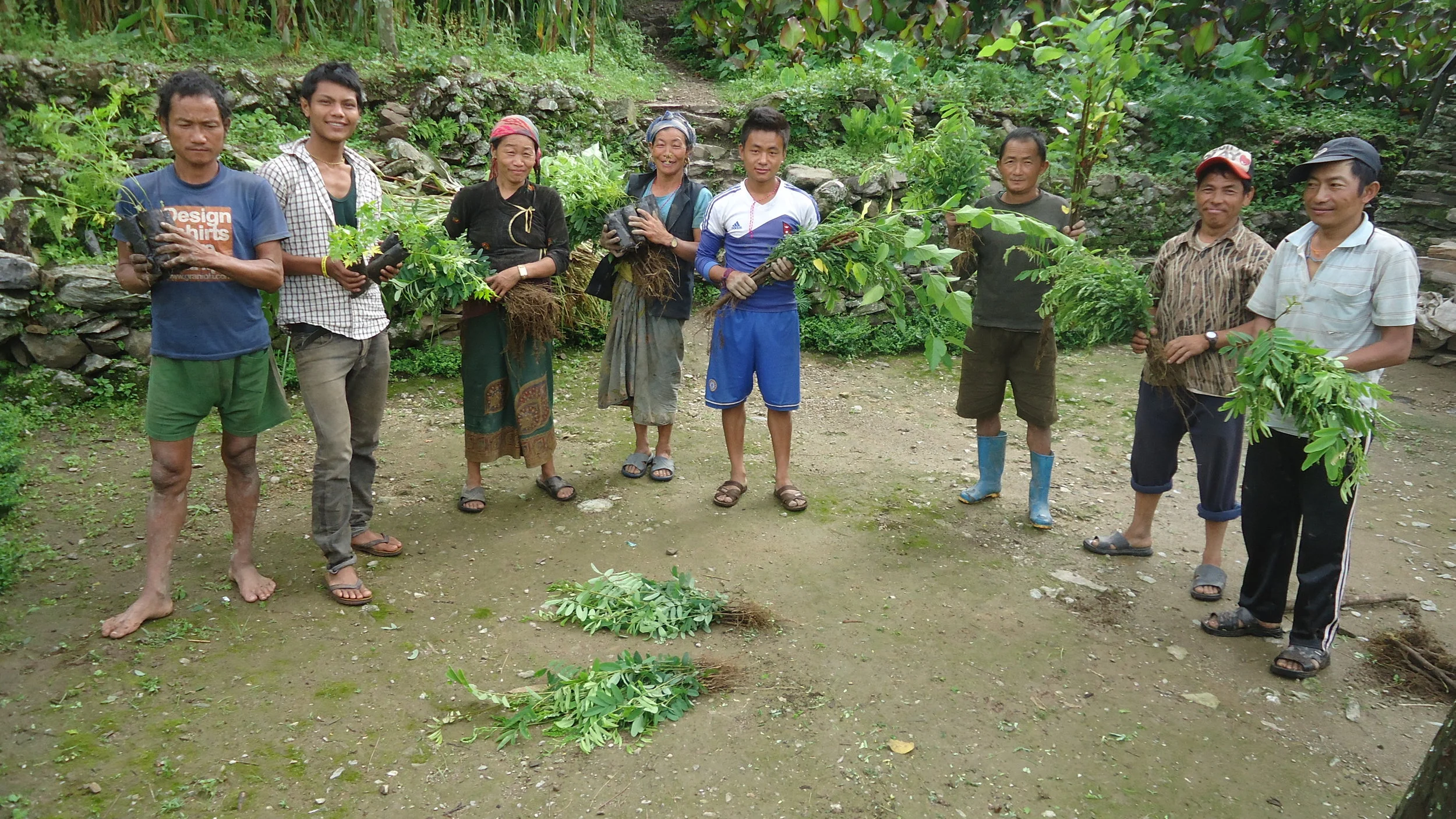 What is Agroforestry? 