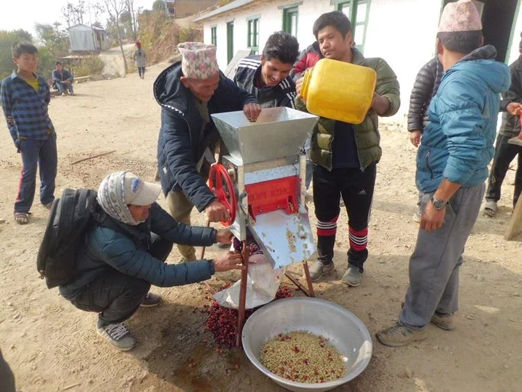 Coffee pulping machine