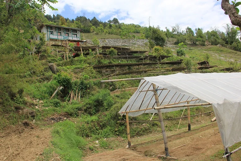 The original plant nursery at Deusa AFRC