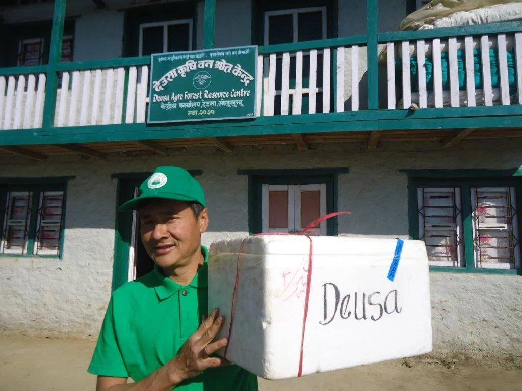 Deusa AFRC manager Keshab Rai receives first batch of Hazelnut seedlings in 2017. 