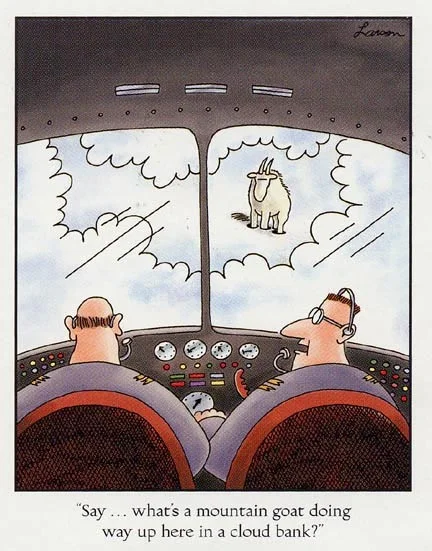 Gary Larson - Farside