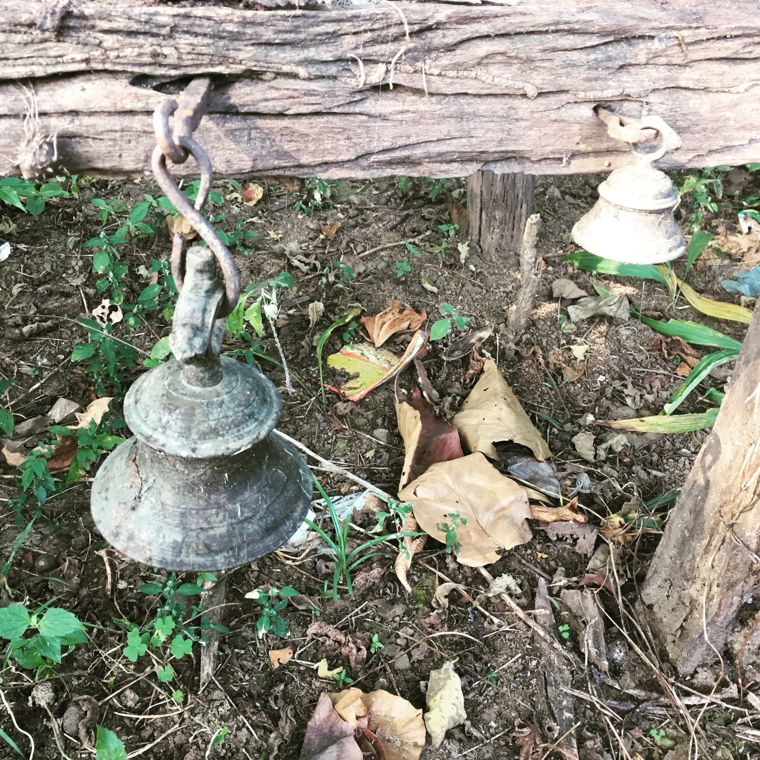 EVENT: 10am (GMT) Feb 6th