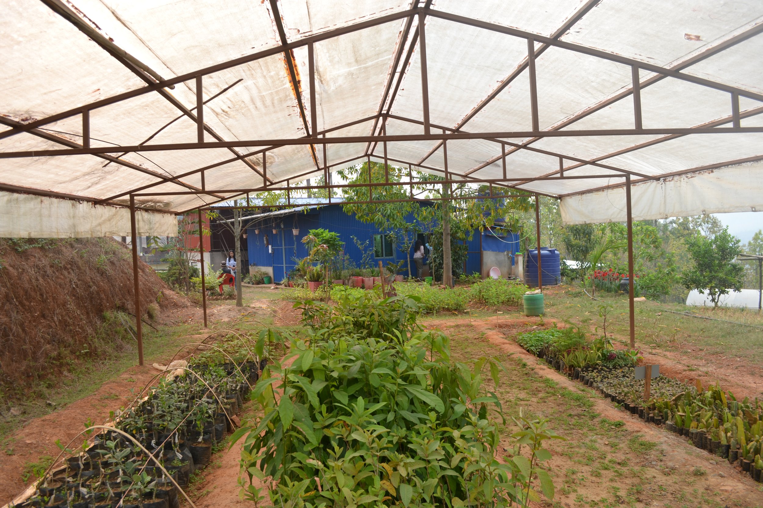 Agroforestry for Local Climate Change Adaptation - A message from our partners at EcoHimal
