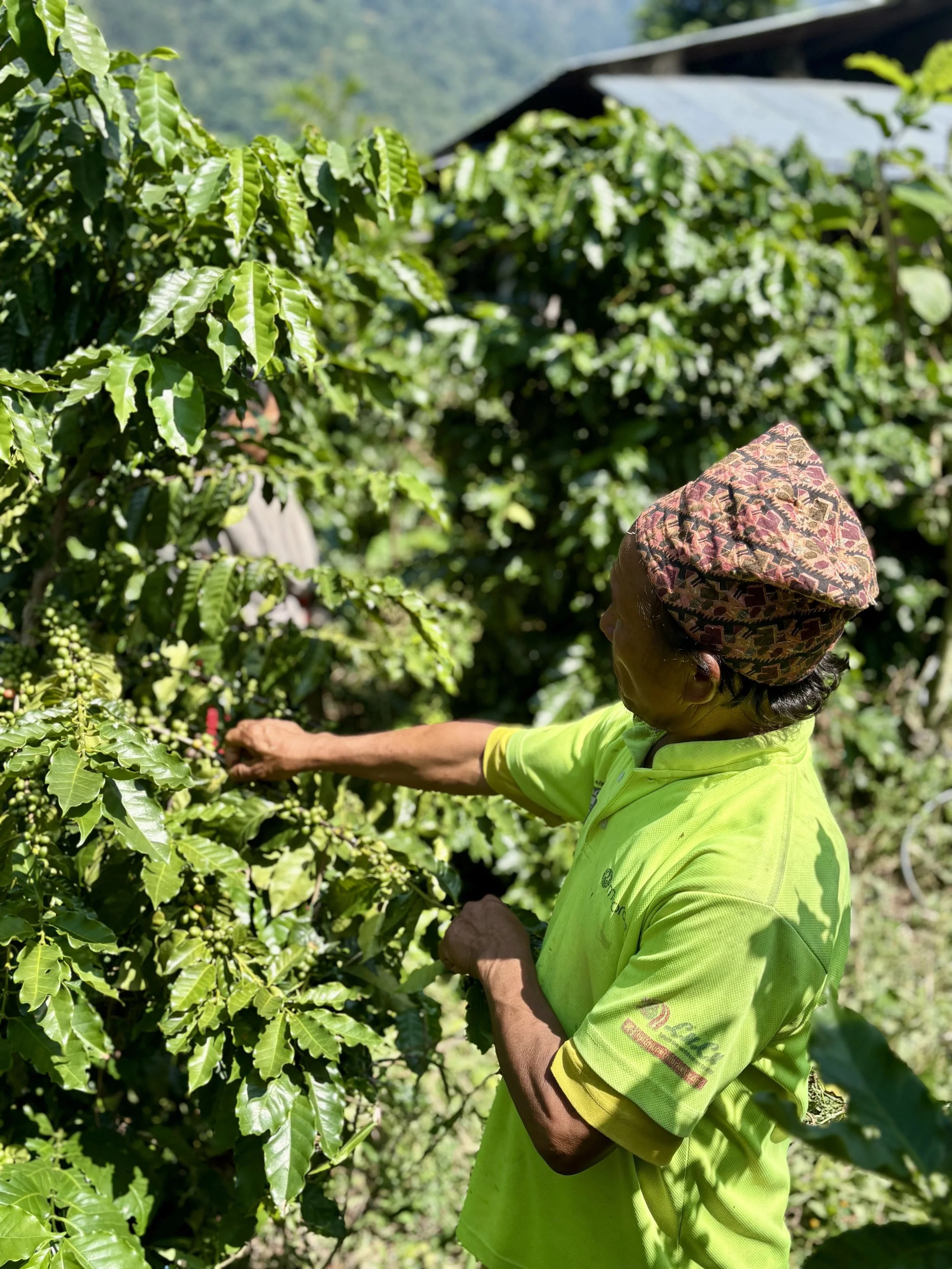   Nawalparasi - From Surviving to Thriving  