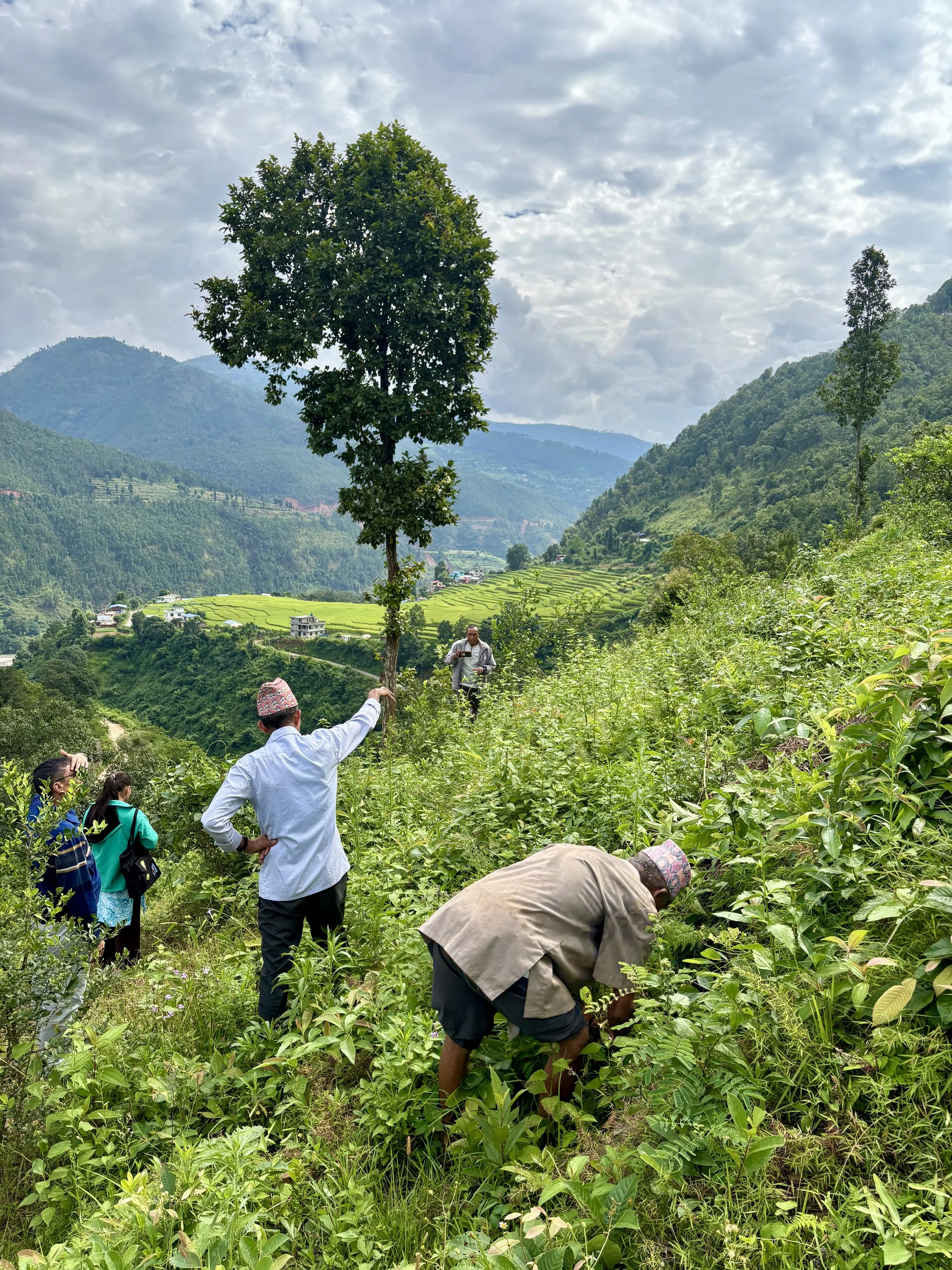   Kavrepalanchok - Mandan Deupur Agroforestry Resource Centre  