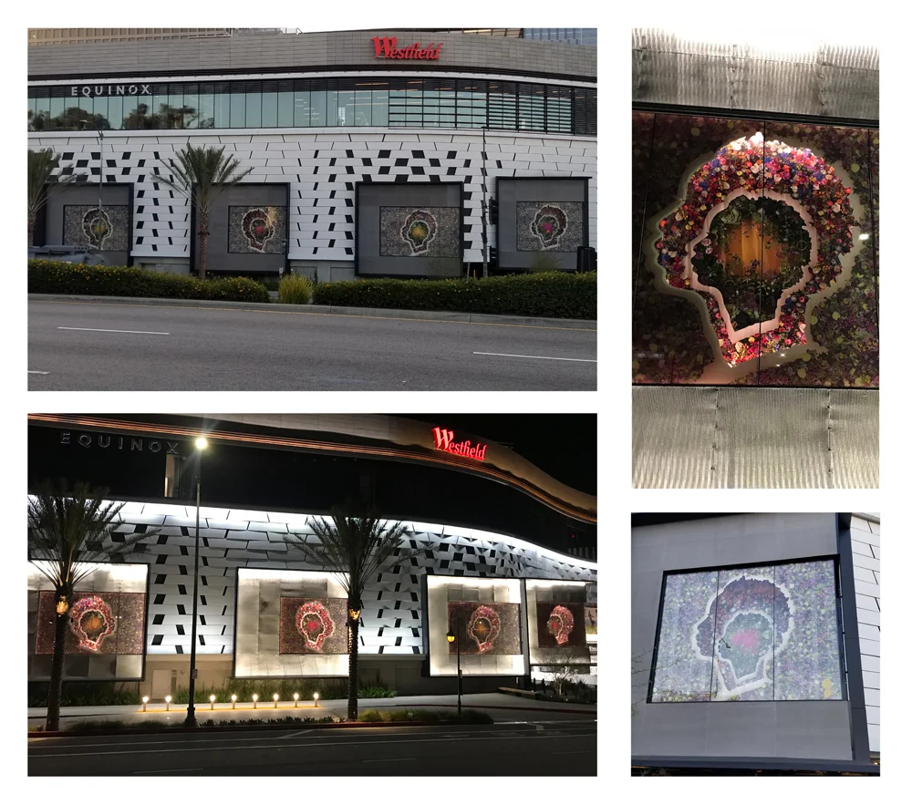 Westfield Vitrines - Bloom &amp; Plume