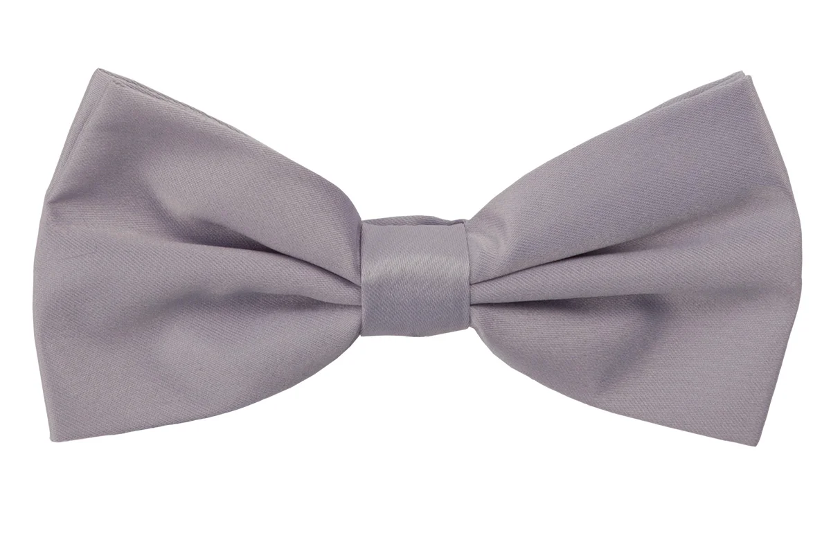 BT100 - Silver