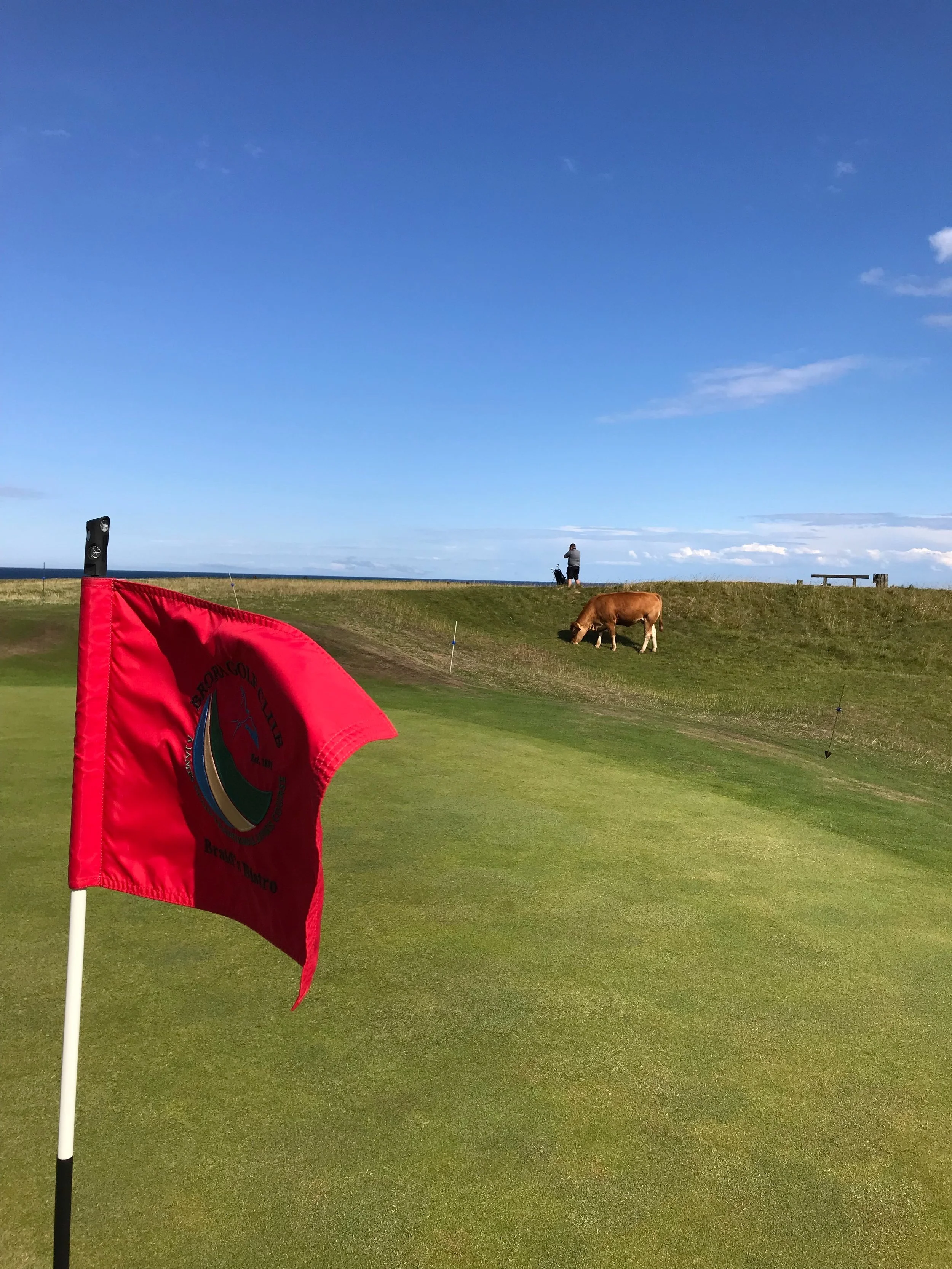 March 6, 2025 | Golf is Way Too Hard