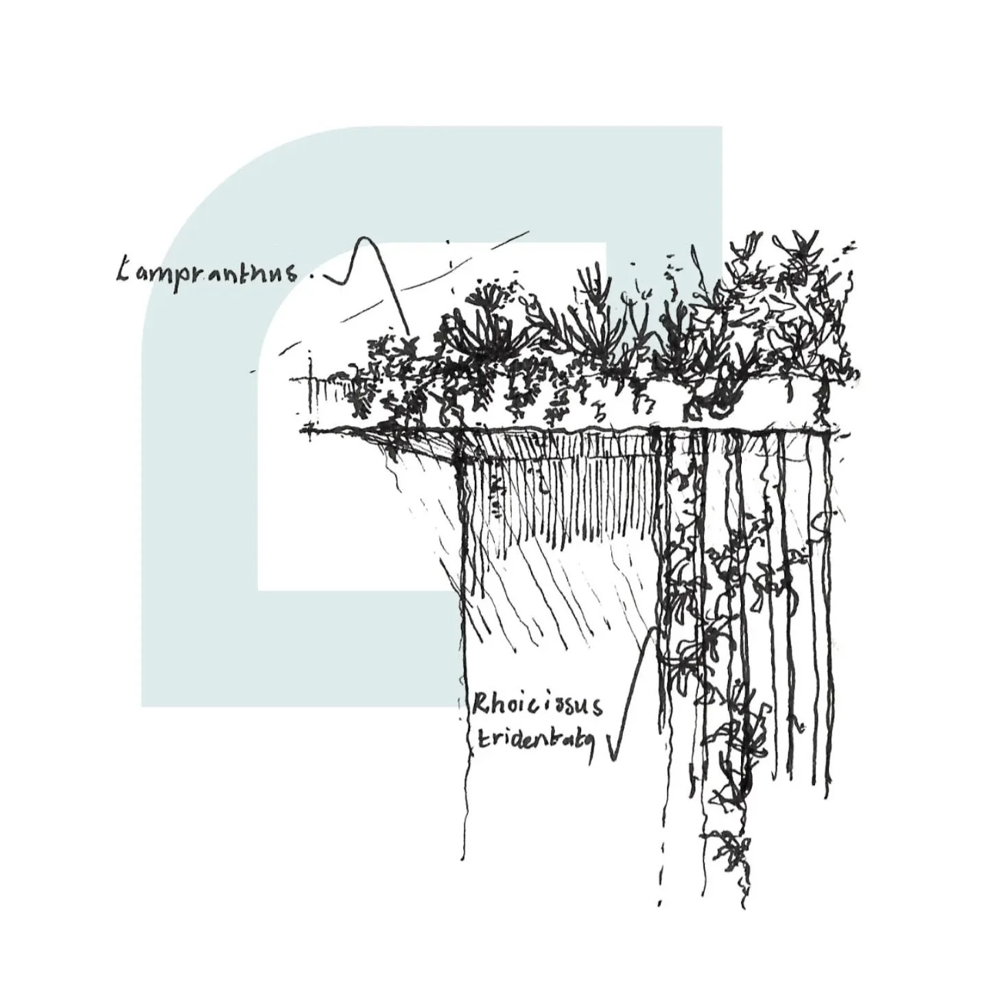 Functional landscape elements, like green roofs create platforms for biodiversity and consequently acts like a passive thermal regulation system. 

Our work emphasises environmental responsibility. We strive to align architectural and landscape archi