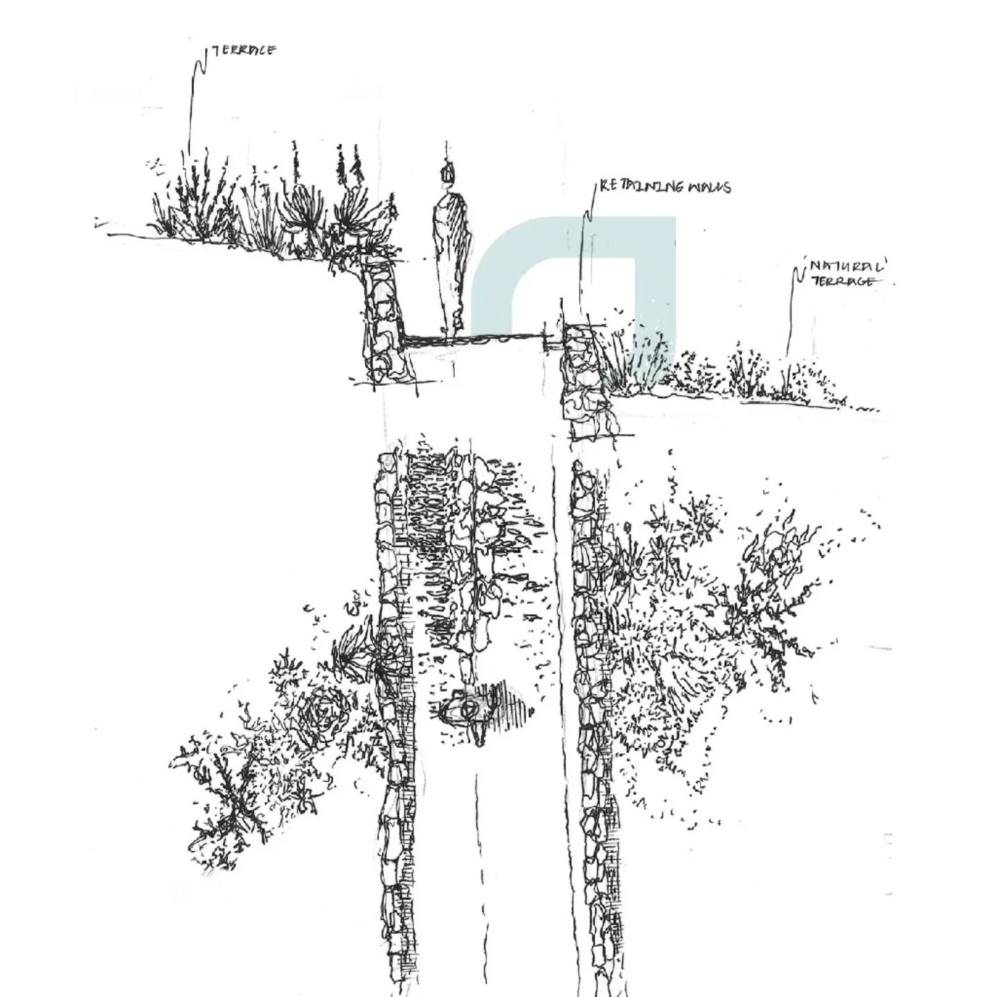 Spatial Quality Sketch: Terraced landscapes turn plain slopes into rich, layered habitats. Supporting diverse plant life, terraces reduce erosion, slow runoff, and improve soil health. A beautiful bonus&mdash;they bring you closer to nature.

🎨 @jos