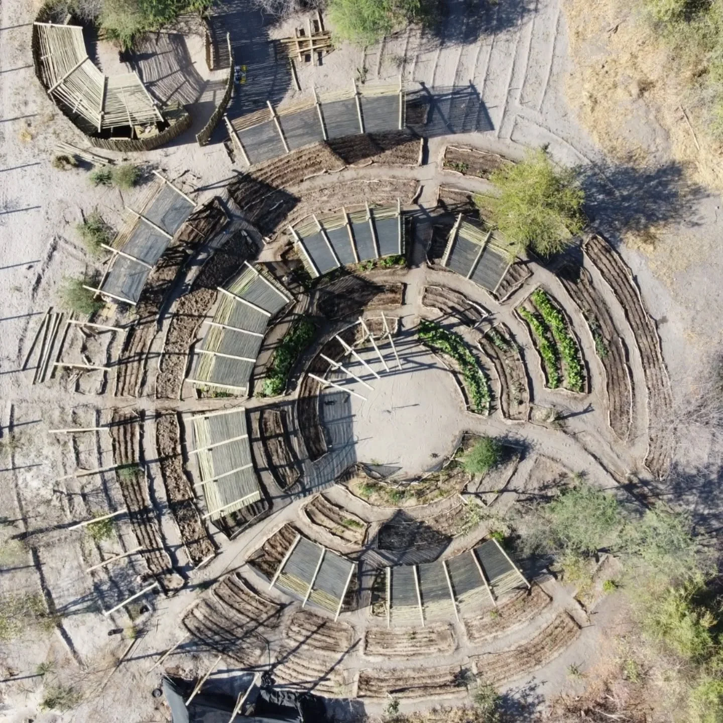 Inspired by the curvilinear layout of a Kgoro, the farm-to-table agrotourism project is a celebration of the traditional family homestead. The deconstructed veranda-like structures provide open but protected outdoor spaces that shield the crops from 