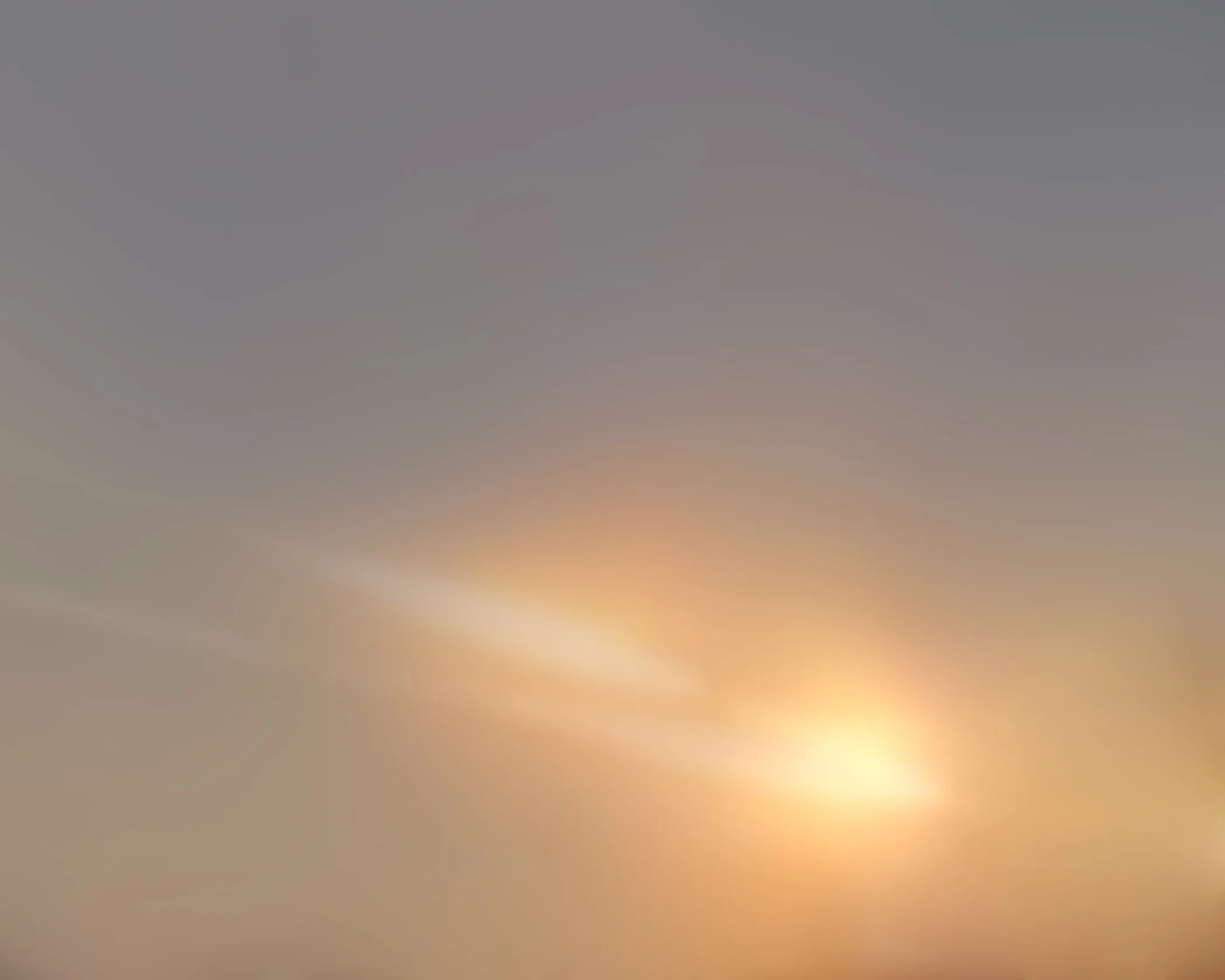 03.jpg