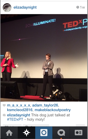 Photo credit: Instagram of @elizadaynight
