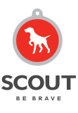 Scout Agency - Consumer/B2B & Health Care Agency