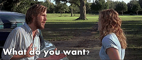 The Notebook What do you want meme.gif