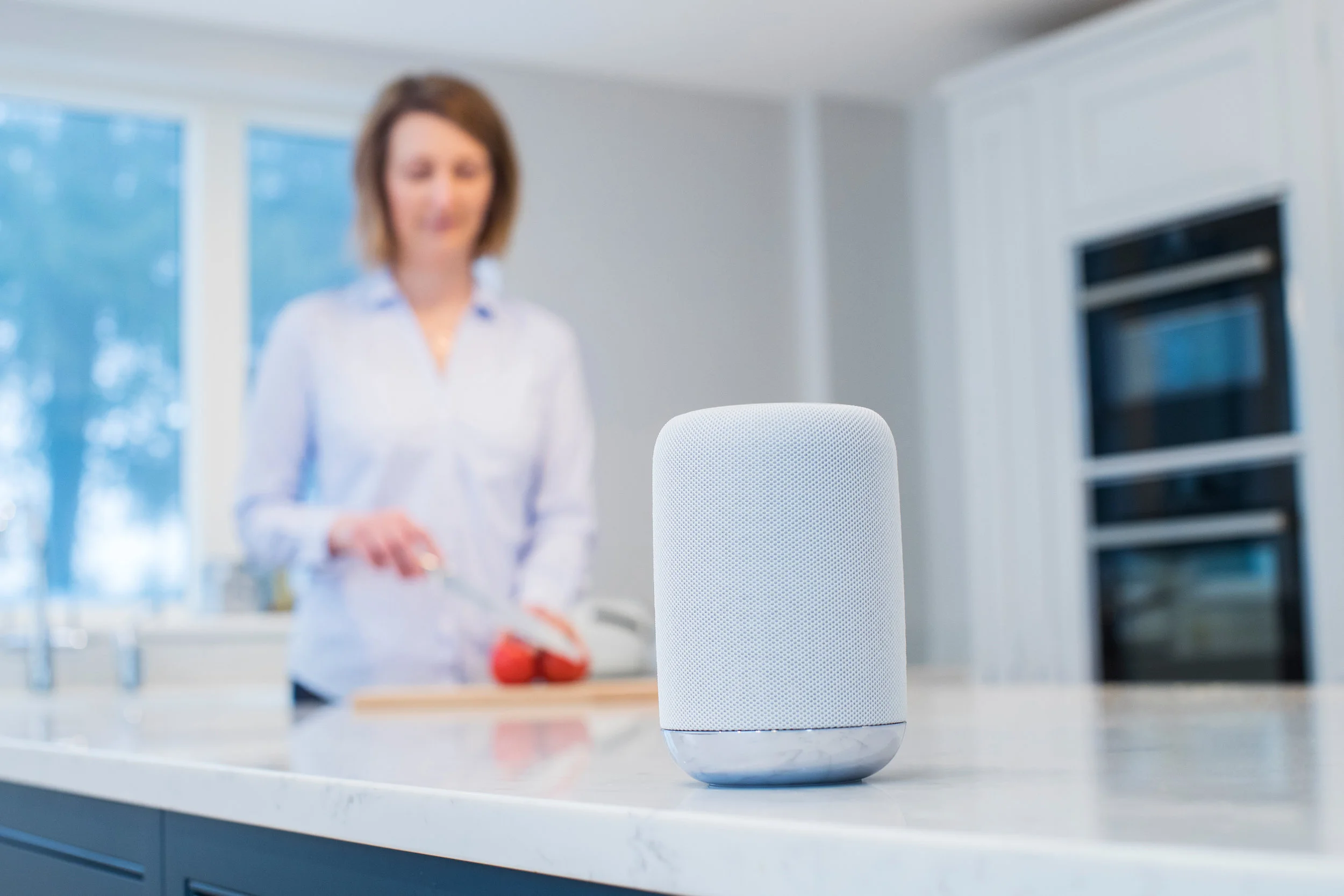 The Future of Artificial Intelligence and Data Analytics in Marketing