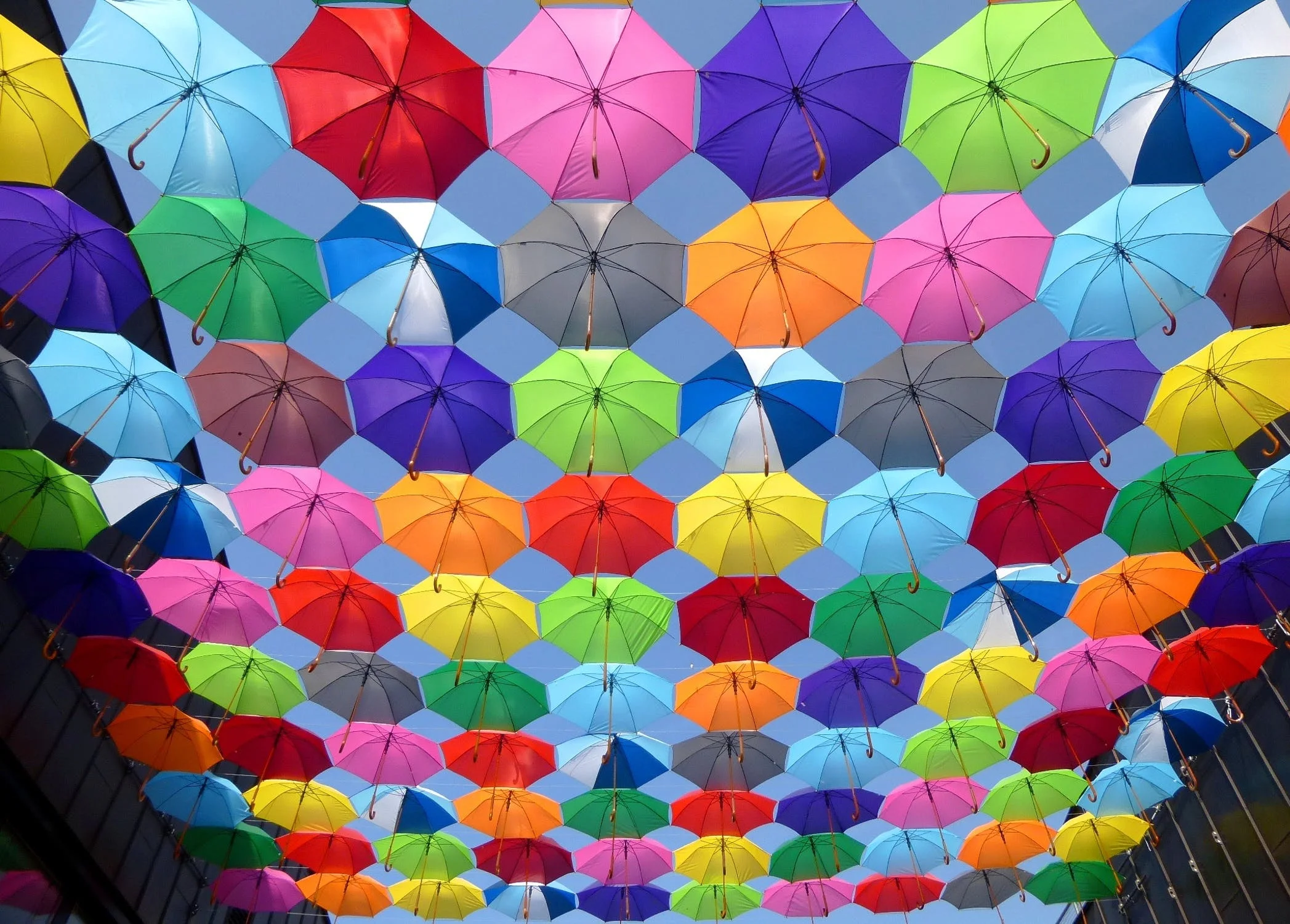 Marketers Toolbox - Coolors