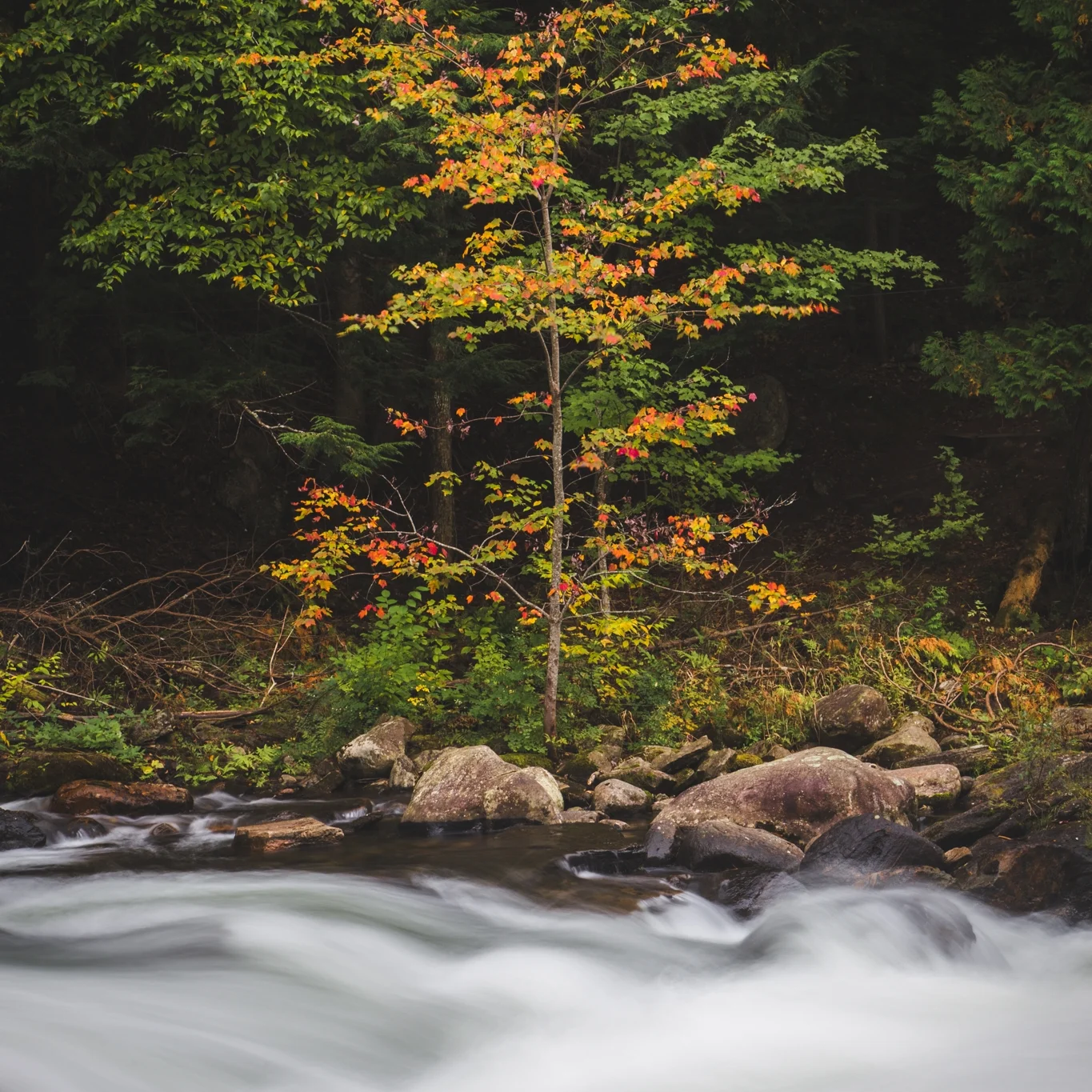 Haliburton Photography / An Outing with Photographers