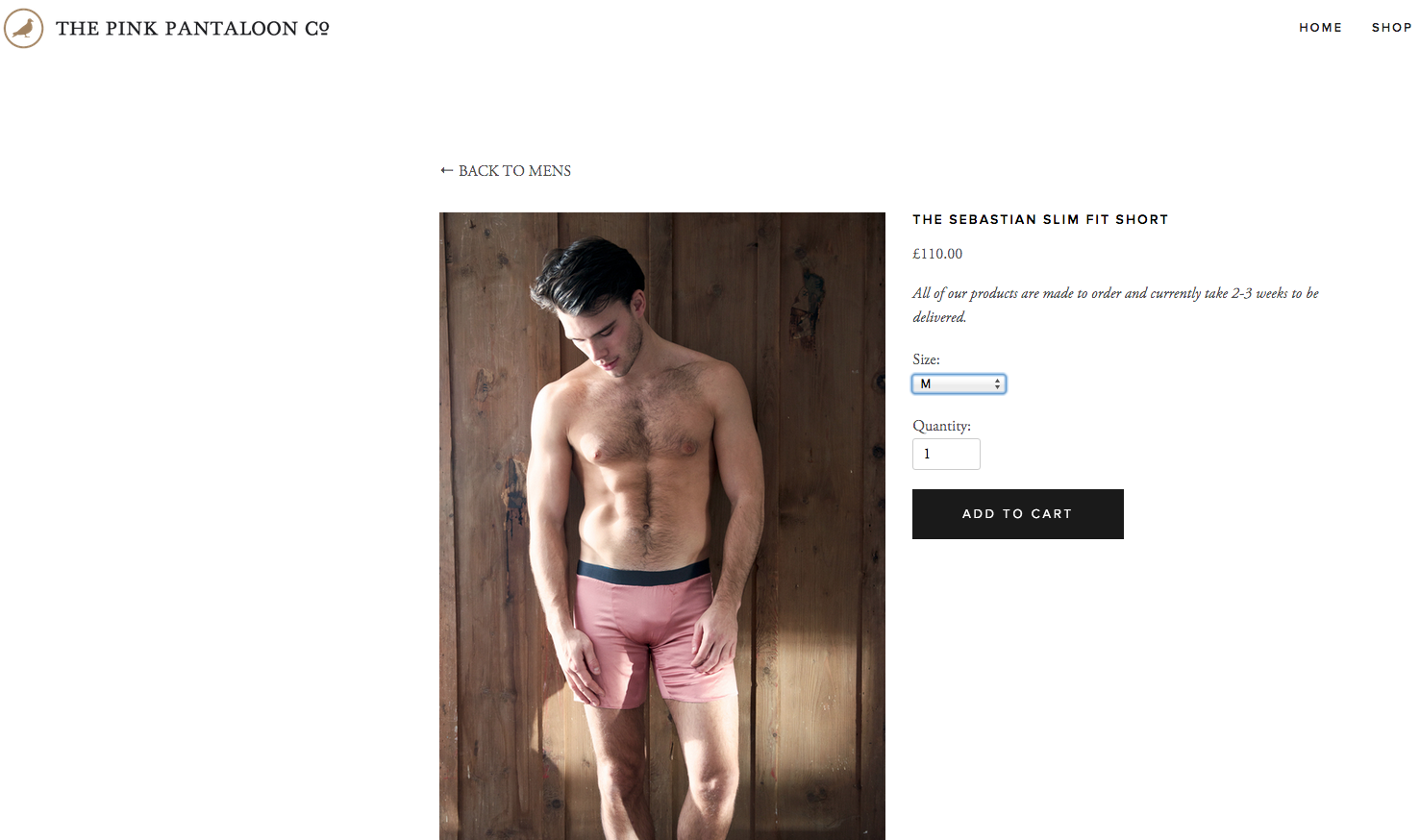 An example of online underwear shopping. Image from www.pinkpantaloon.com