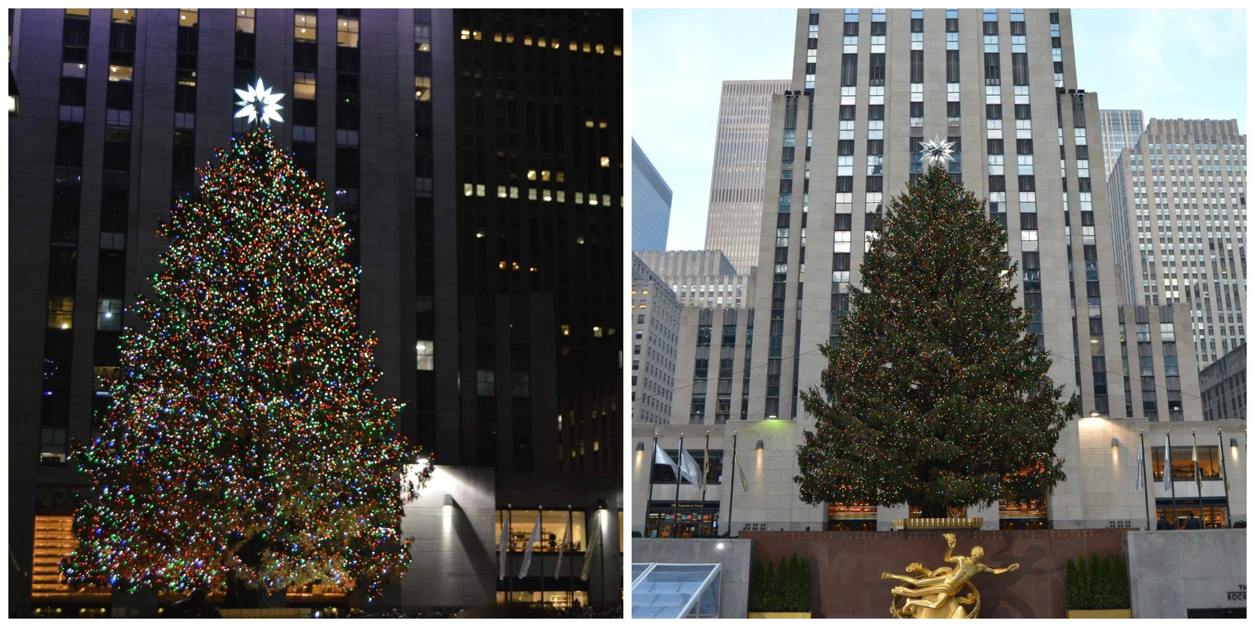 The Rockerfeller Tree, one of the biggest Christmas trees in the world. 