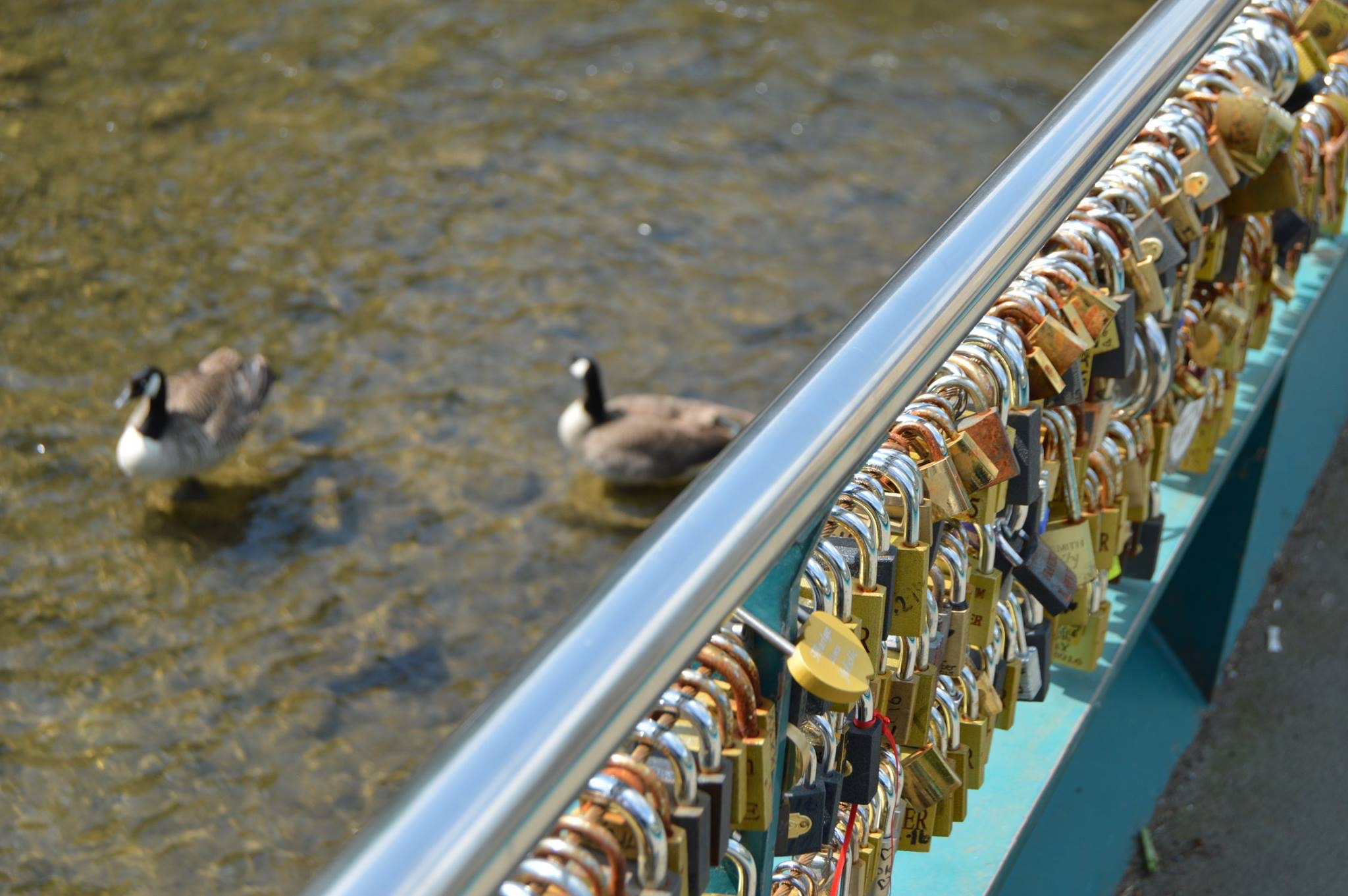 Just some of the Love-Locks on the bridge.