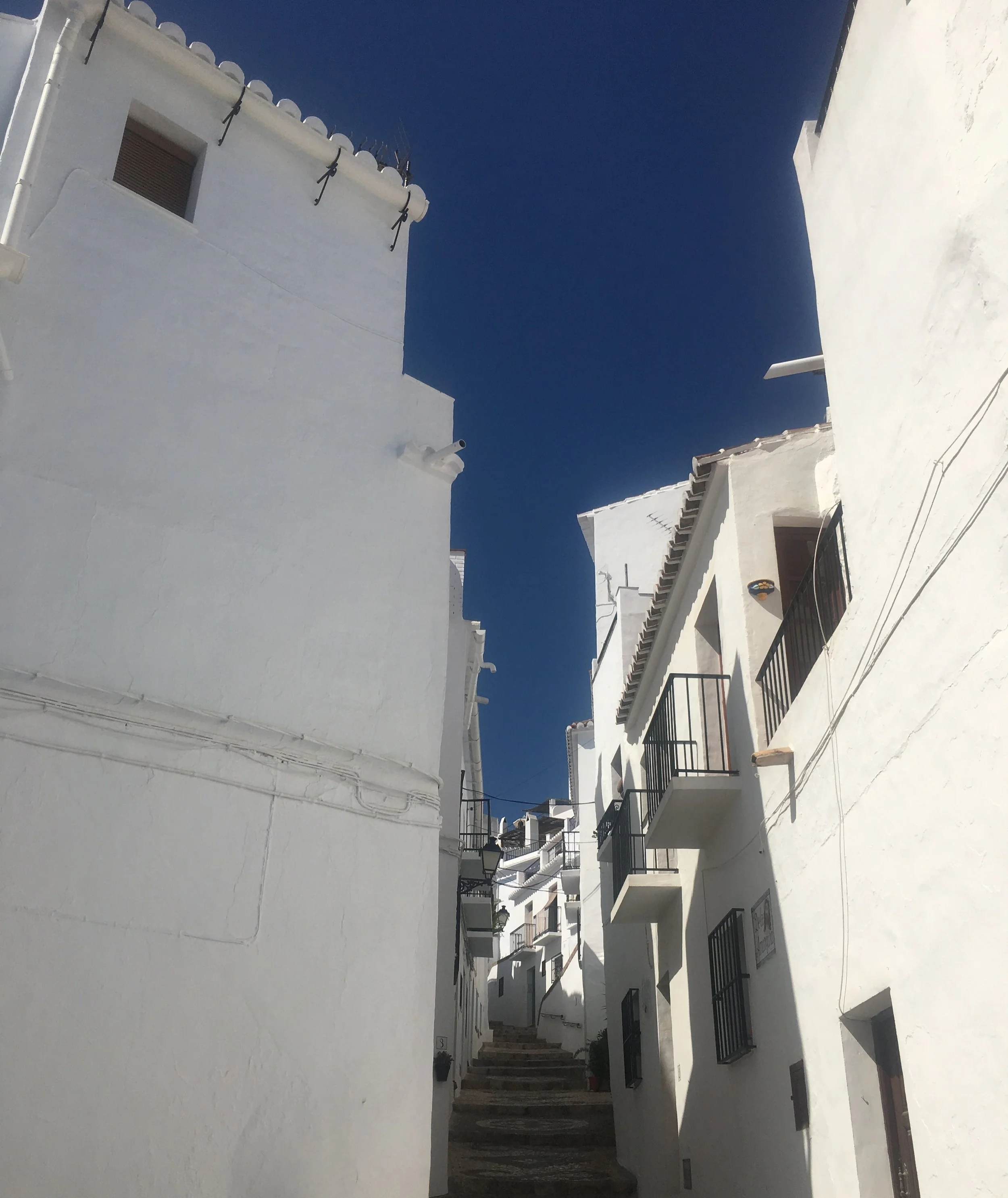 image2 (1).jpeg