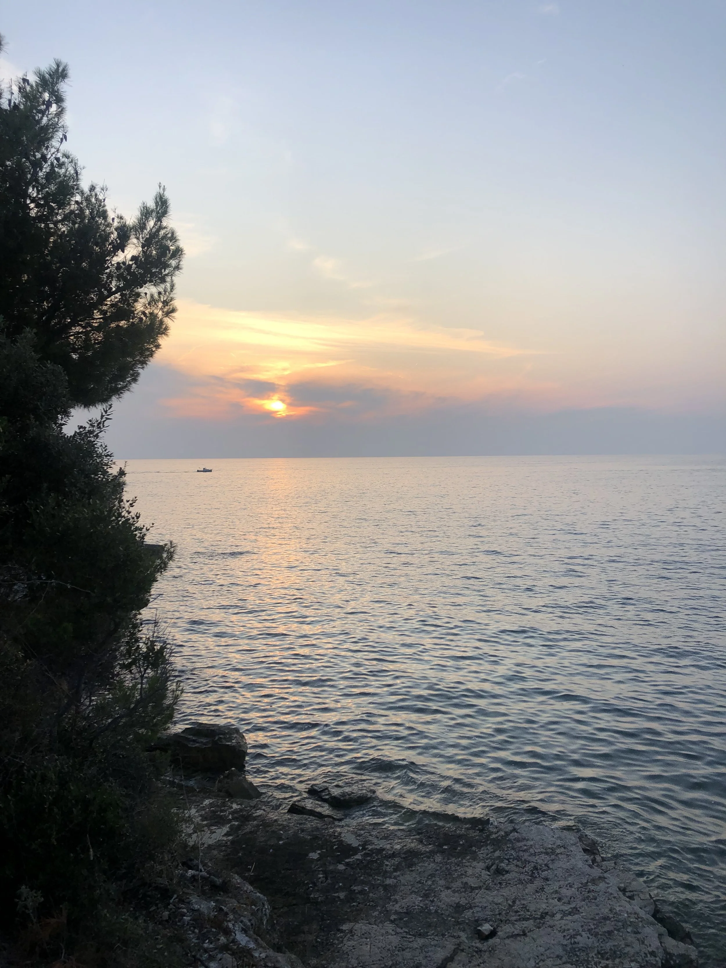 image2 (1).jpeg