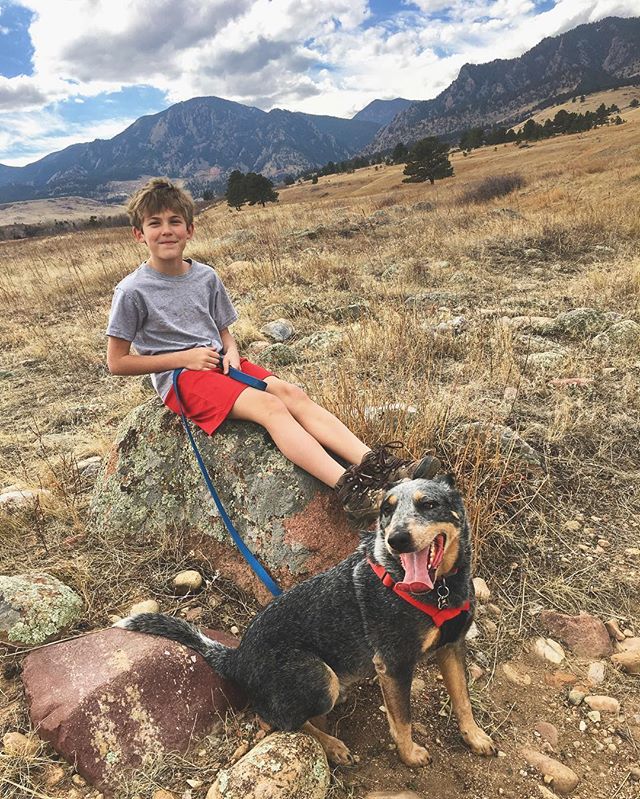Boy. Dog. π