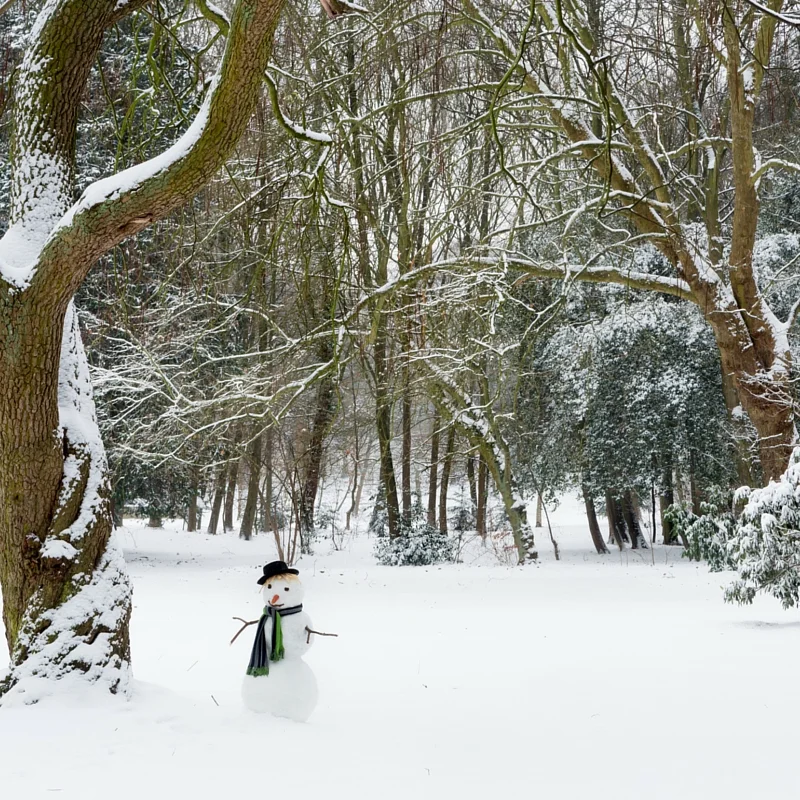 Feeling alone? Left out in the cold?