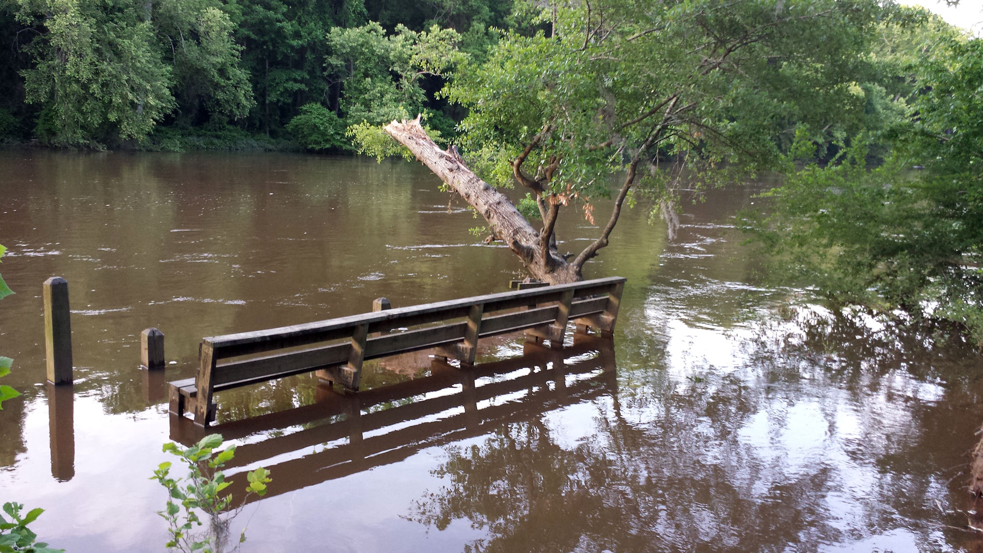 flooded.jpg