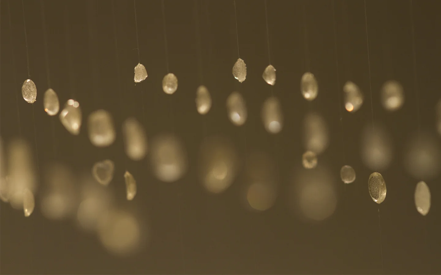 Bigger is Better V.jpg