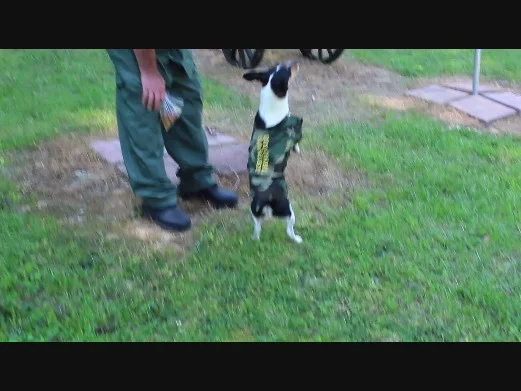 Col. Harley standing.jpg