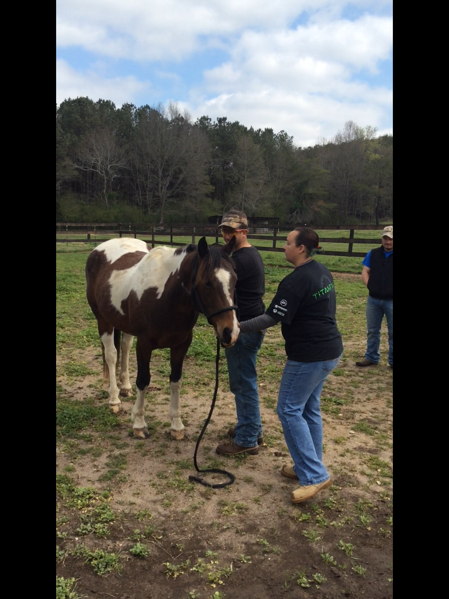 Horses helping Veterans with PTSD, project with NEHRF and Fort Villanow.PNG