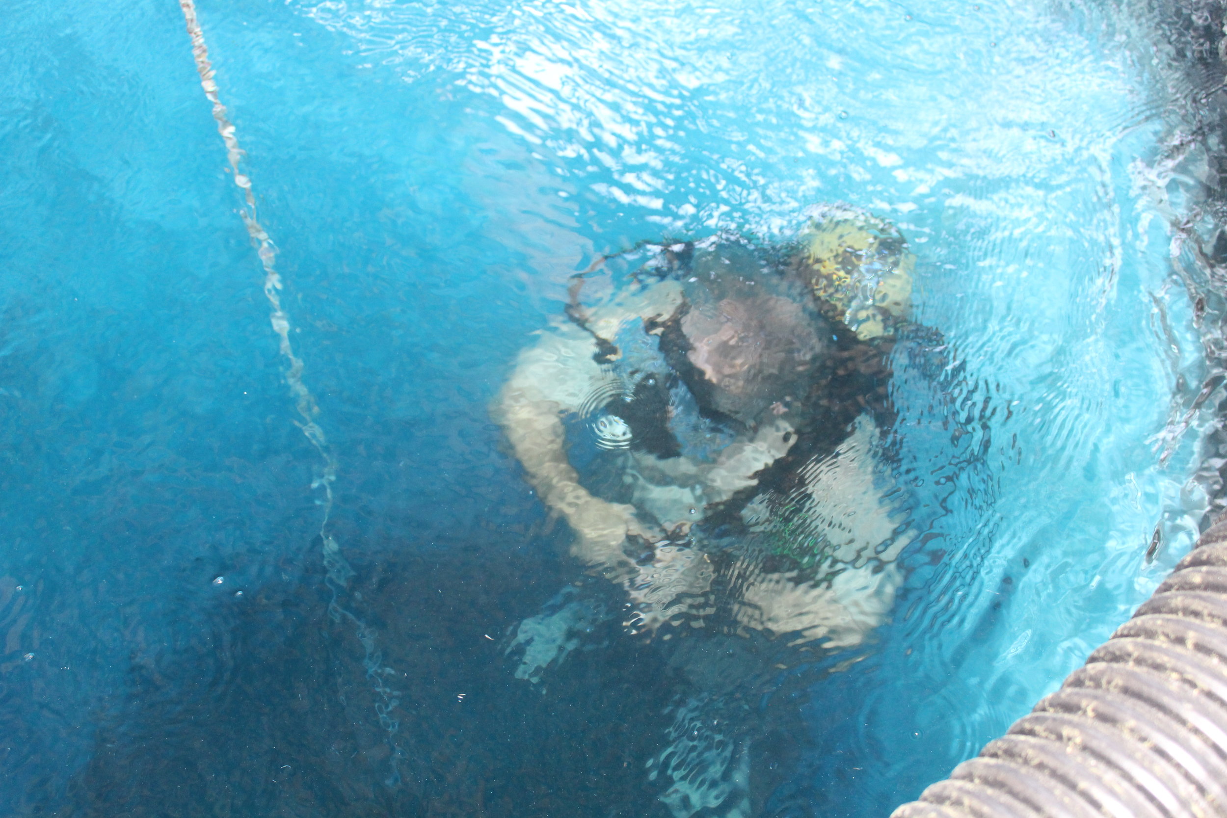 Fort Villanow Scuba Tank 2019 Diving Lessons now available - 2.JPG